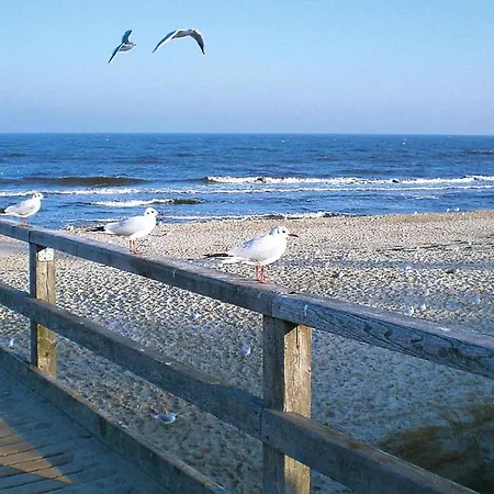 Ferienhaus, Zinnowitz