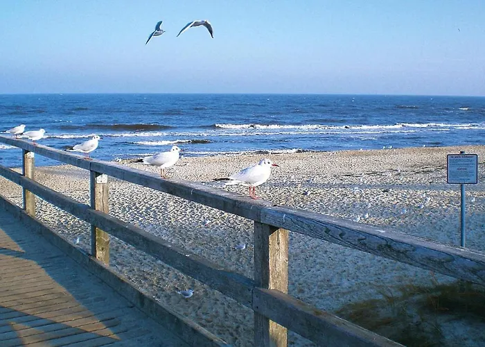 Ferienhaus, ツィノヴィッツ